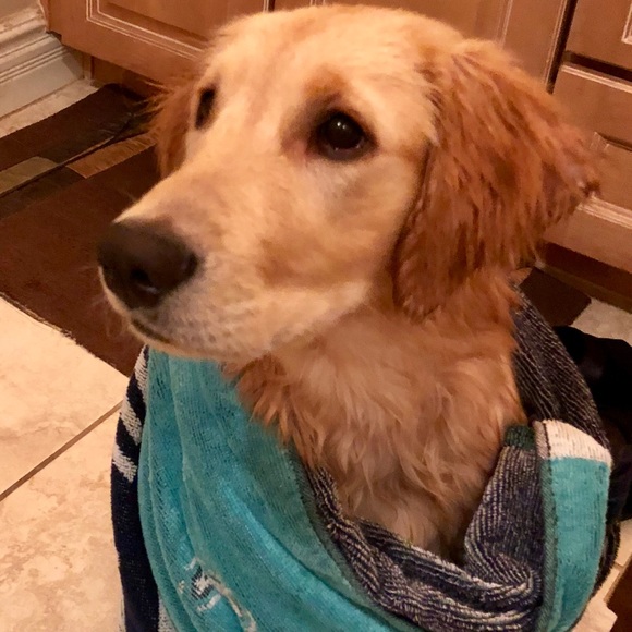 Meet your Posher, Stephanie - Picture 1 of 1